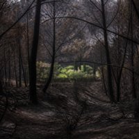 The Hardkiss представили сингл «Гора»